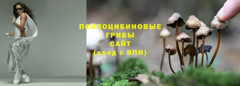 Псилоцибиновые грибы Psilocybine cubensis  купить закладку  OMG   Спасск-Рязанский 